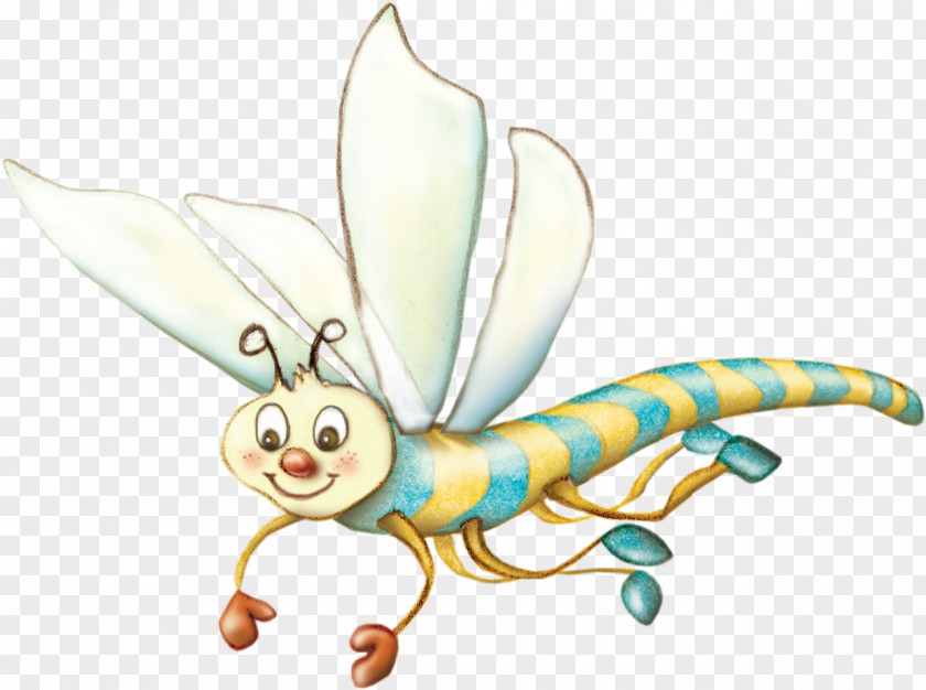 Cartoon Dragonfly Butterfly Illustration PNG