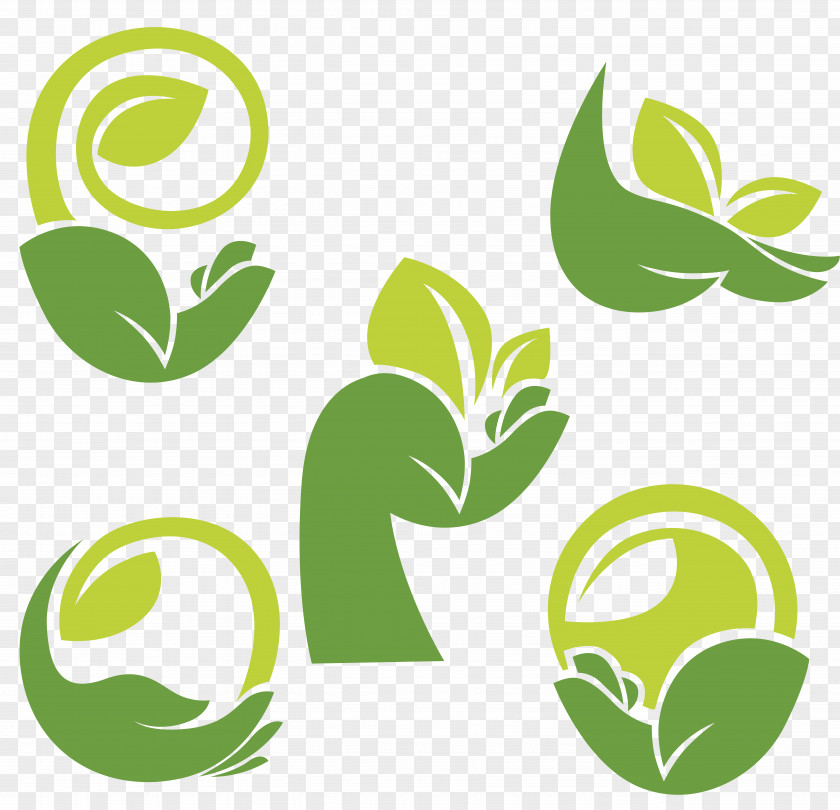 Ecological Park Logo Clip Art PNG