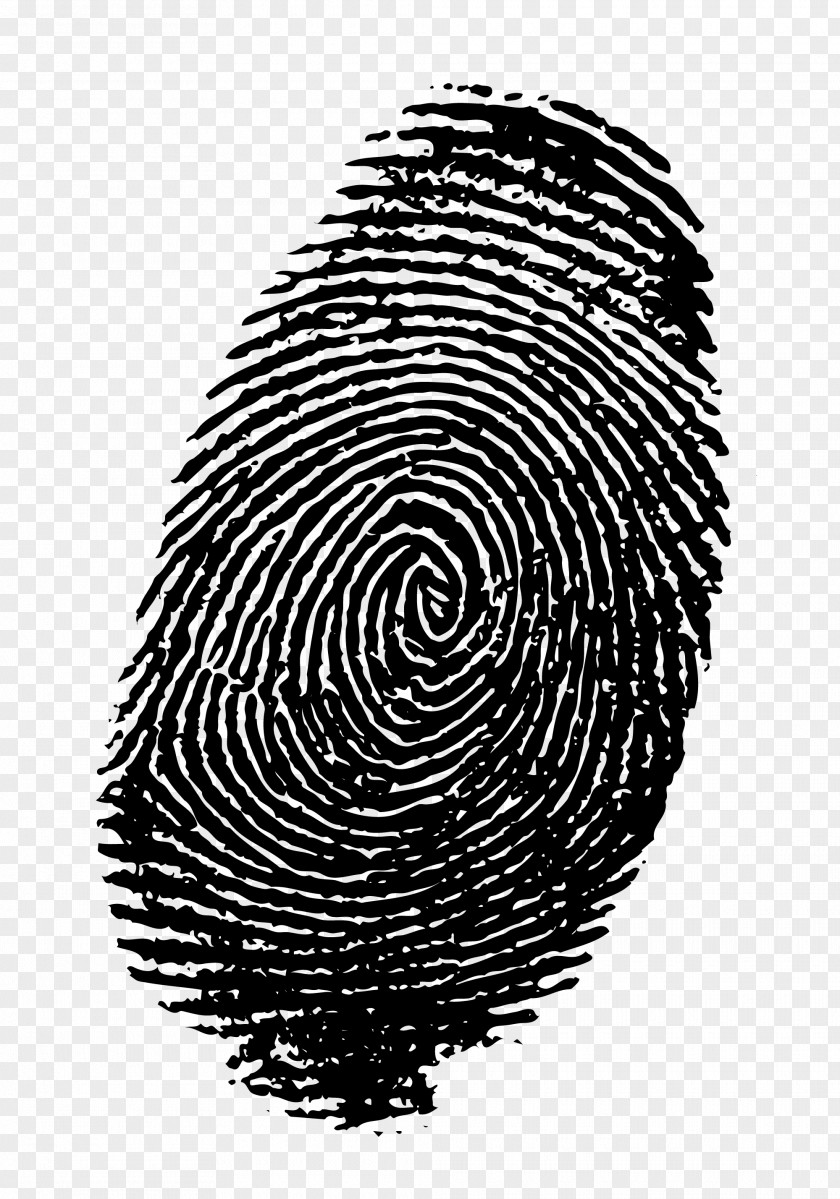 Fingerprints Fingerprint Royalty-free Stock Photography Clip Art PNG