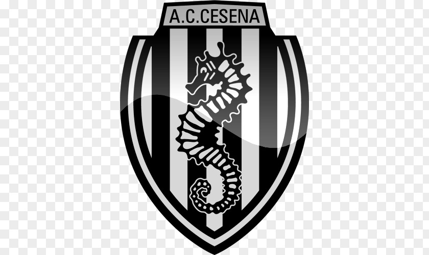 Football A.C. Cesena Under-19 Venezia FC Brescia Calcio PNG