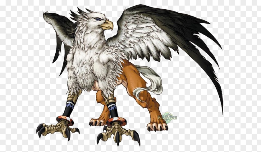 Griffin Legendary Creature Mythology Phoenix PNG