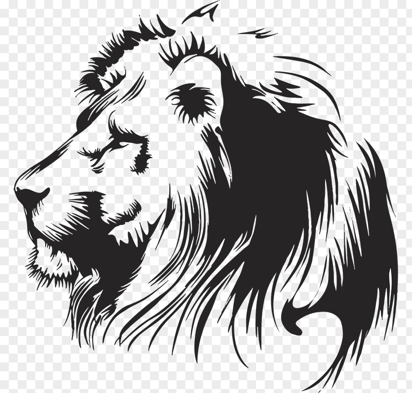 Lion Clip Art Vector Graphics Drawing Illustration PNG