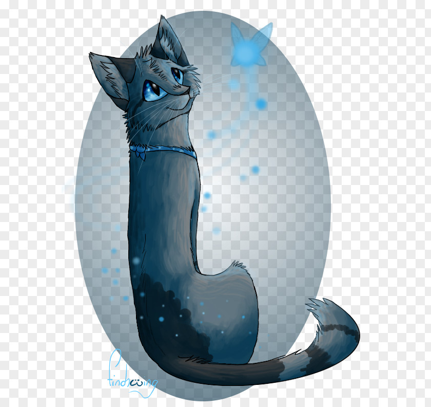 Make A Wish Whiskers Domestic Short-haired Cat Illustration Felicia Hardy PNG