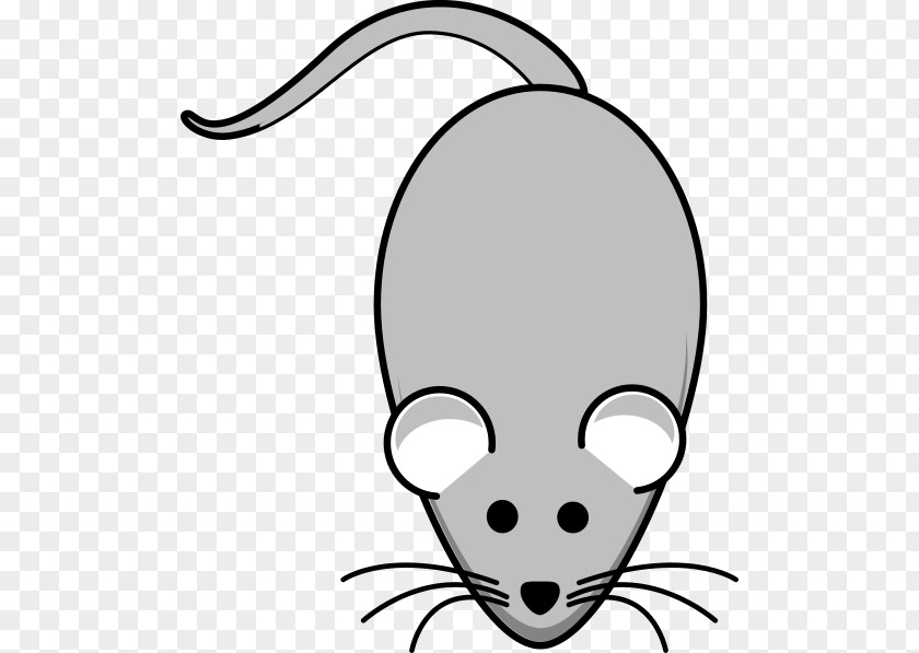 Rat House Mouse Clip Art PNG
