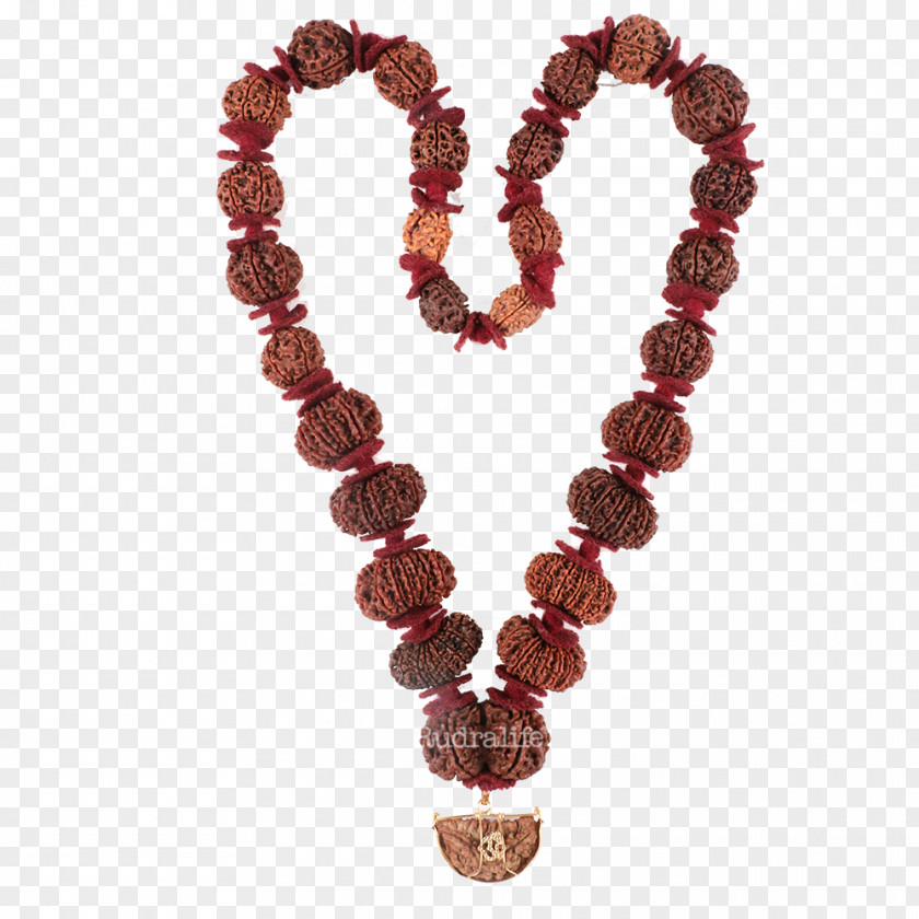 Rudraksha Shiva Rudralife Japamala Hinduism PNG