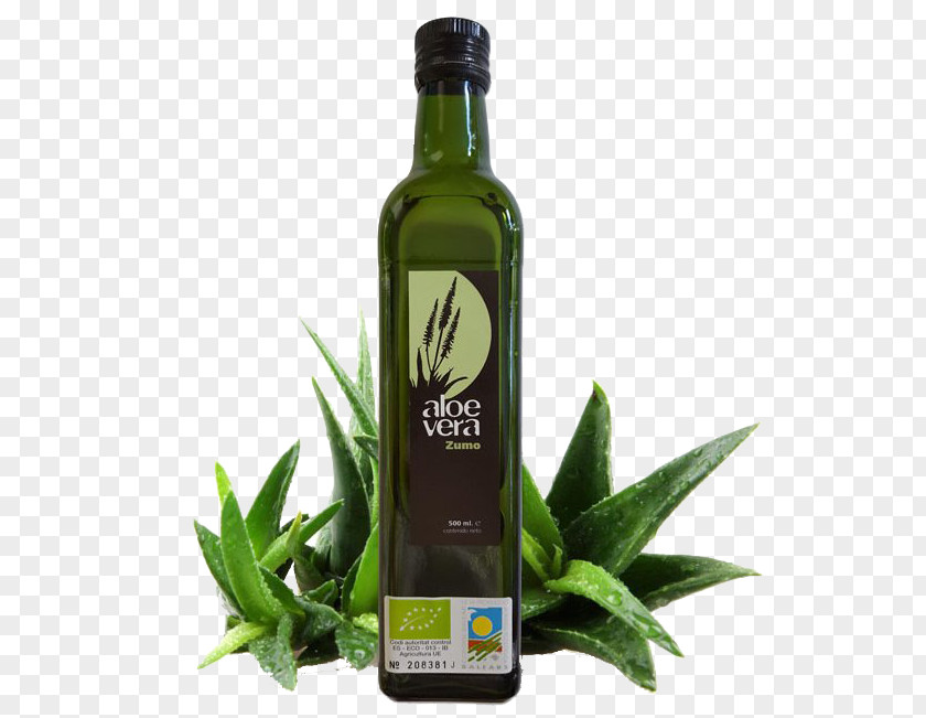 Aloe Juice Vera Skin Care Ferox Xeroderma PNG