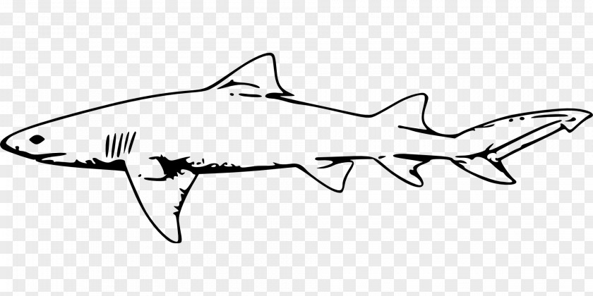 Big White Shark Great Bull Clip Art PNG
