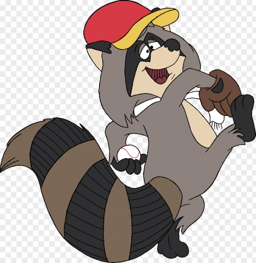 Raccon Melissa Raccoon Canidae Drawing PNG