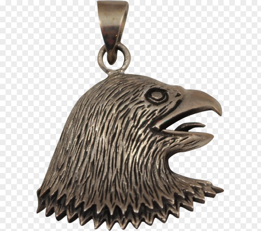 Silver Locket Bronze Beak PNG