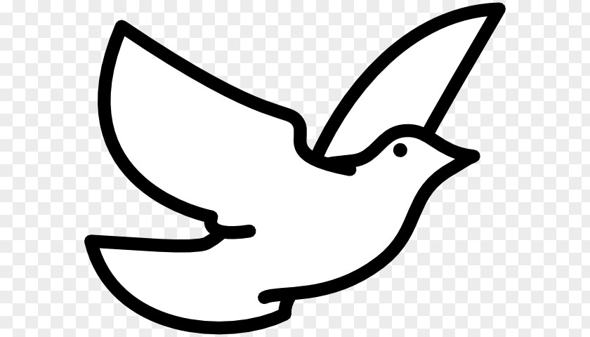 Turtle Peace Cliparts Columbidae Bird Drawing Clip Art PNG