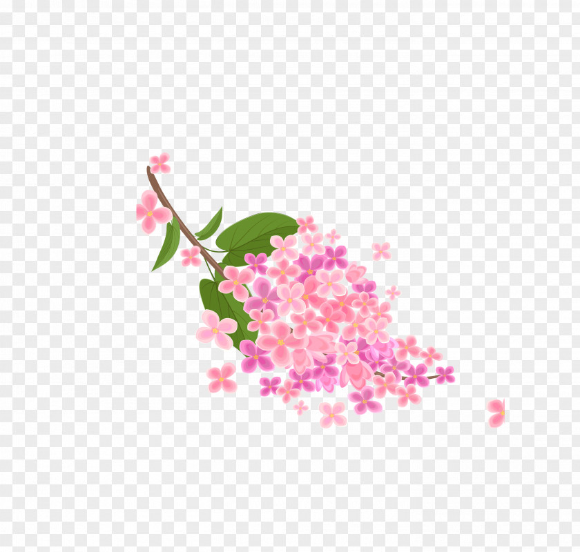 Vector Pink Japanese Elements Sakura Collection Flowers Stock Photography Royalty-free PNG
