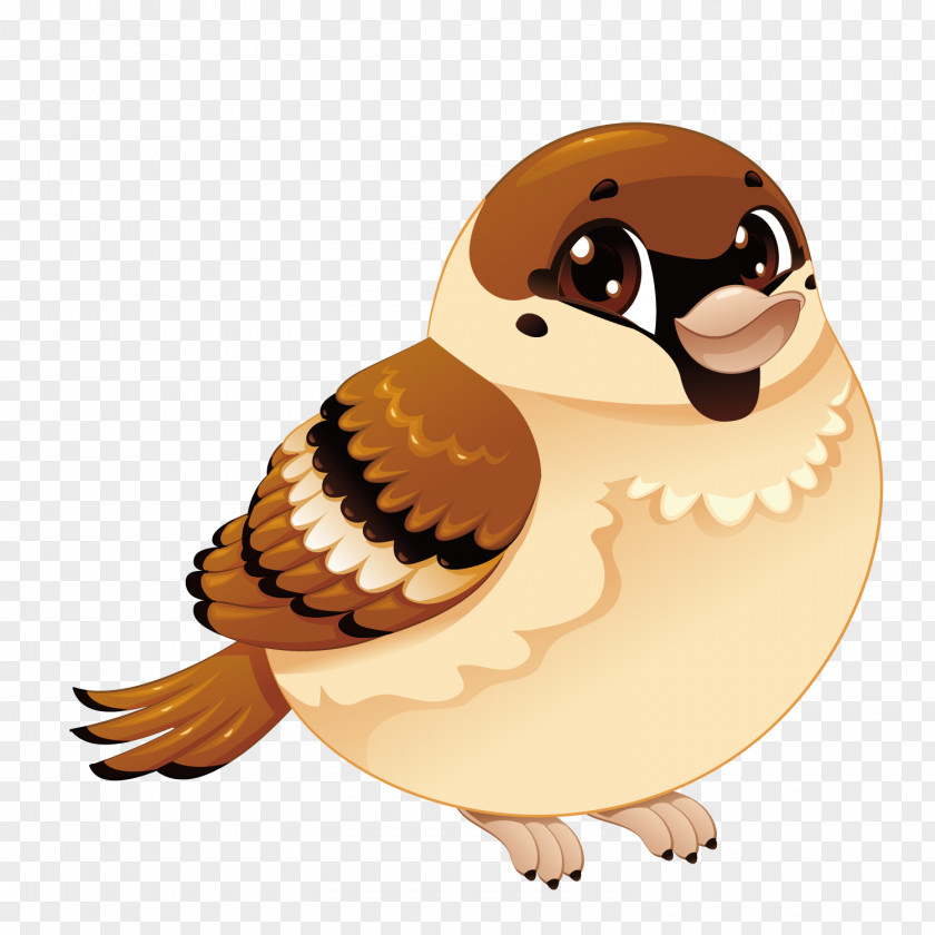 Vector Small Sparrow House Bird Cartoon PNG