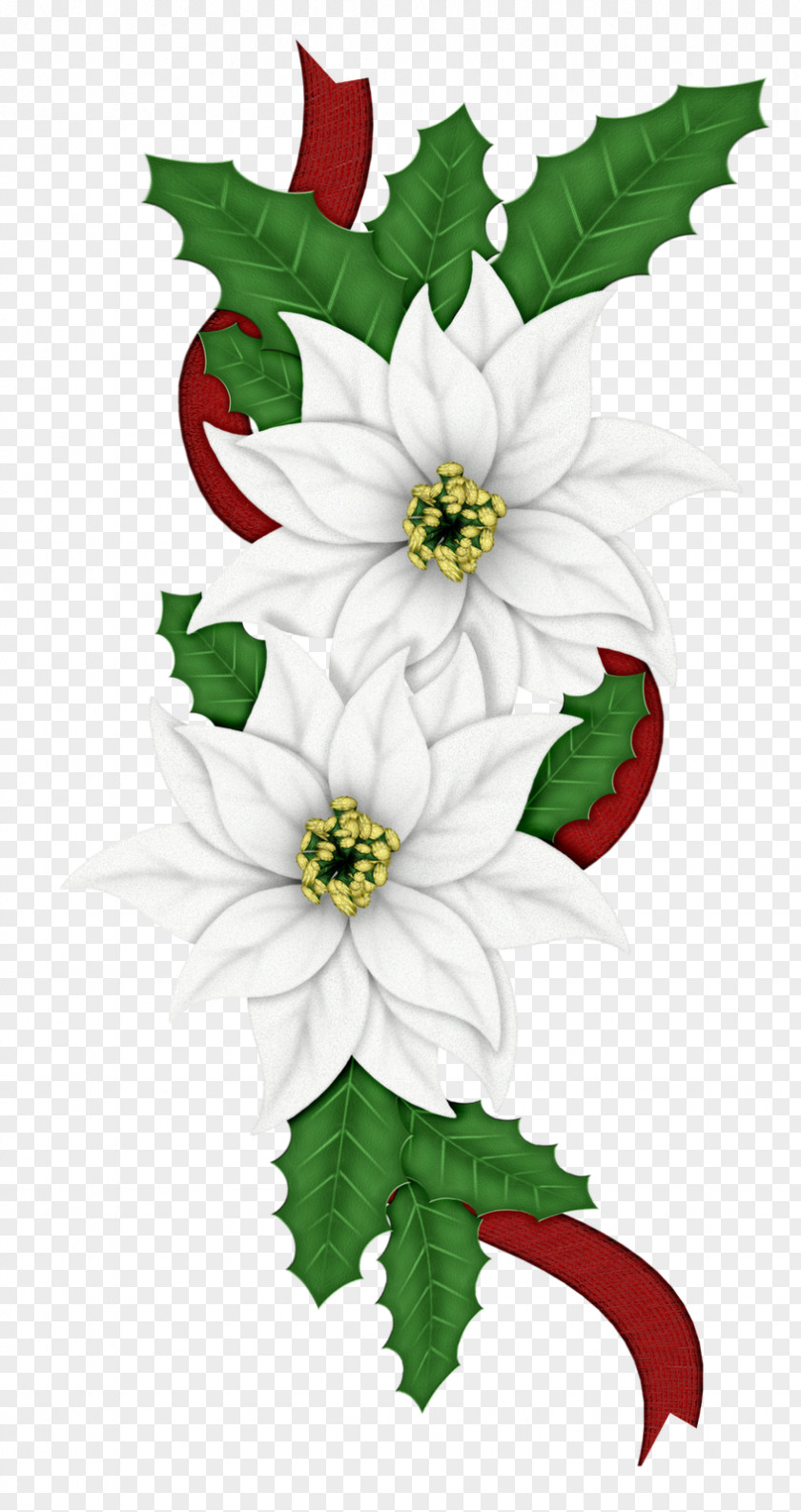 Christmas Poinsettia Candy Cane Flower Clip Art PNG