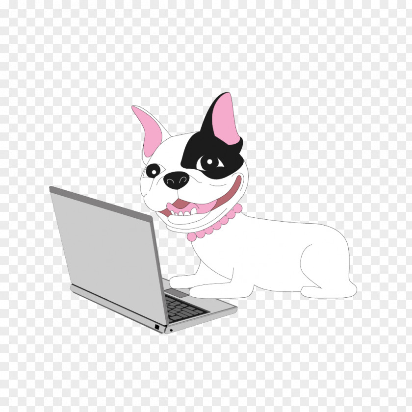 סטודיו לעיצוב גרפי חיפה מיתוג ברוך הבאCreative Scrolls Boston Terrier Design זאתי PNG