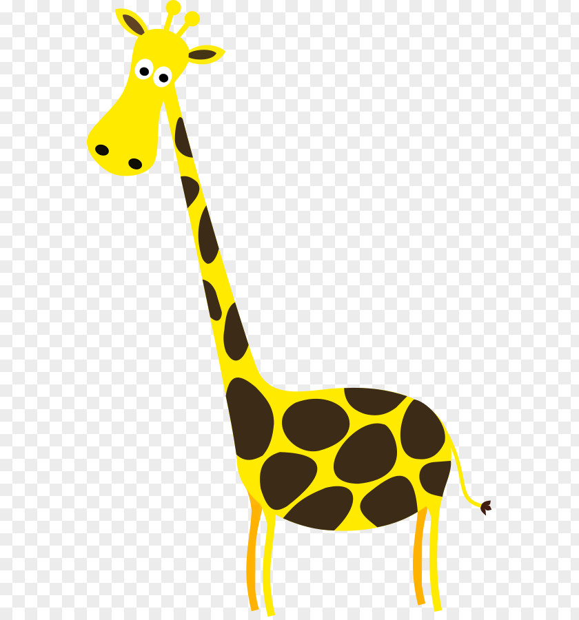 Giraffe Photographs Baby Giraffes Free Content Clip Art PNG