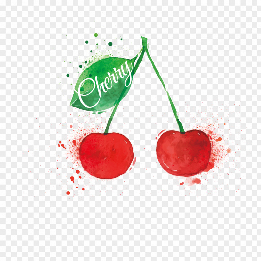 Vector Hand-painted Cherry Fruit Strawberry Lemon PNG