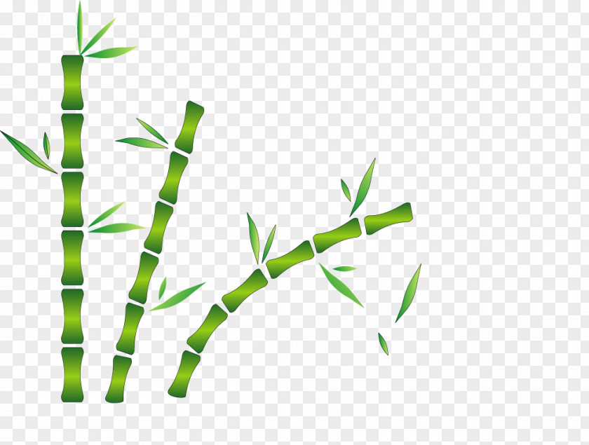 Bamboo Silhouette Picture Material Drawing PNG