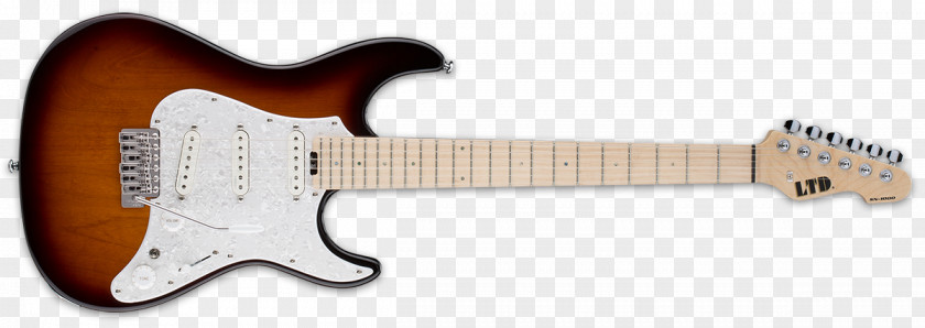 Guitar Fender Stratocaster Telecaster Musical Instruments Corporation Fingerboard PNG
