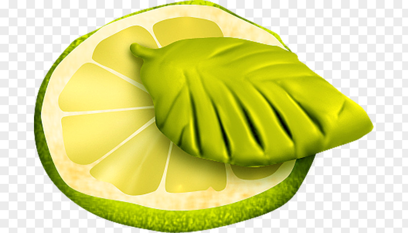 Lime Kiwifruit Food Carambola PNG