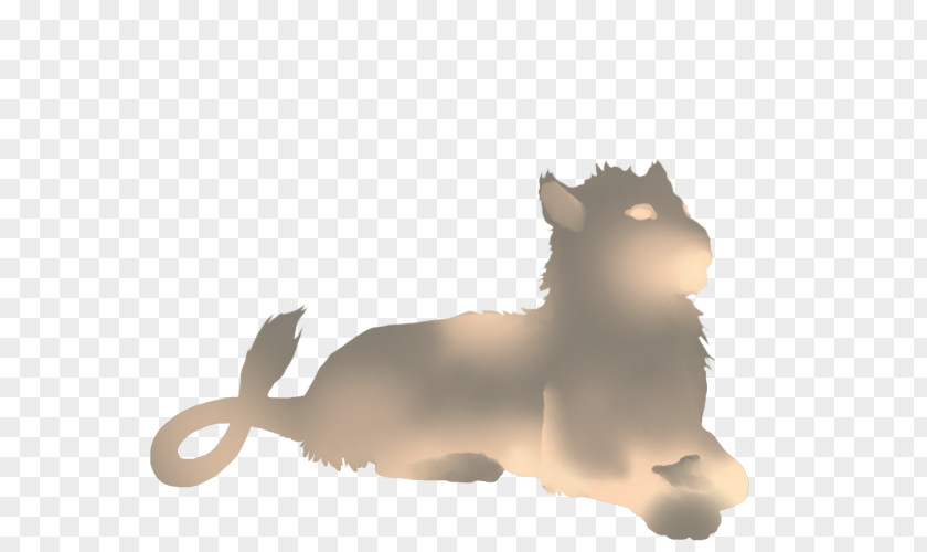 Lion Whiskers Cat Felidae Leopard PNG