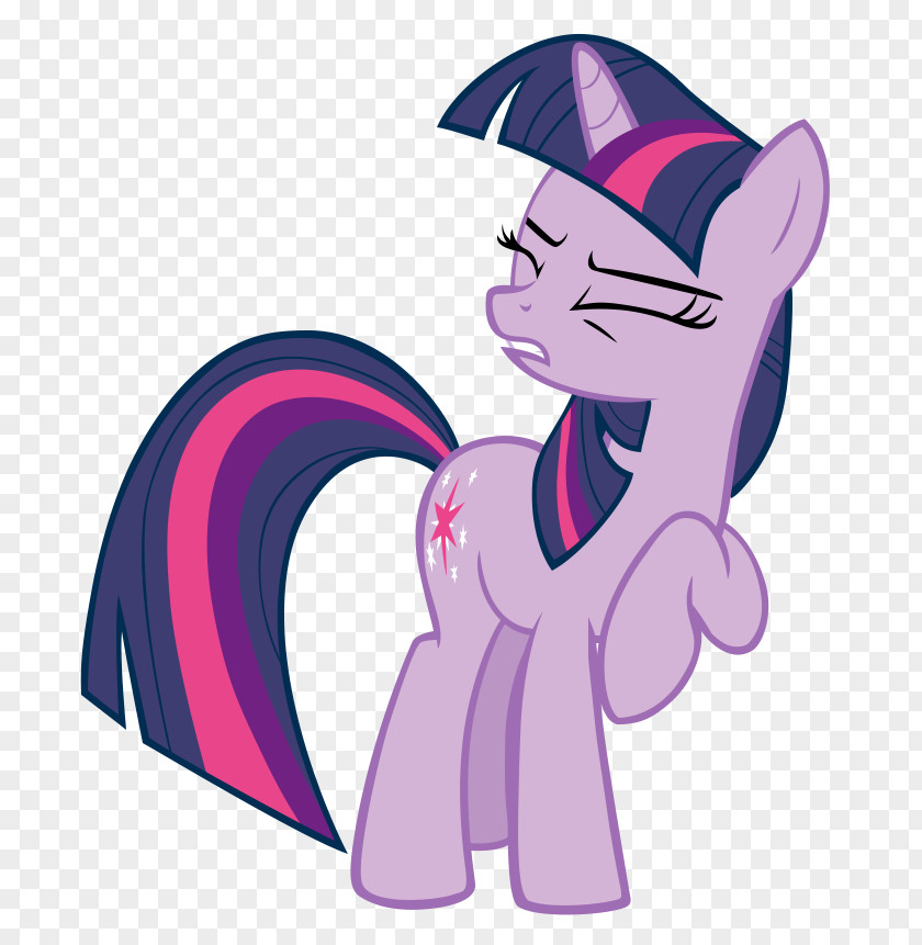 My Little Pony Twilight Sparkle Rarity Rainbow Dash Applejack PNG