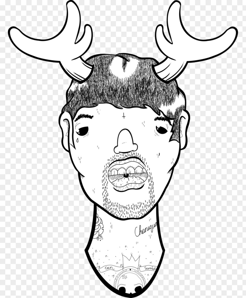 Deer Moose Drawing Clip Art PNG