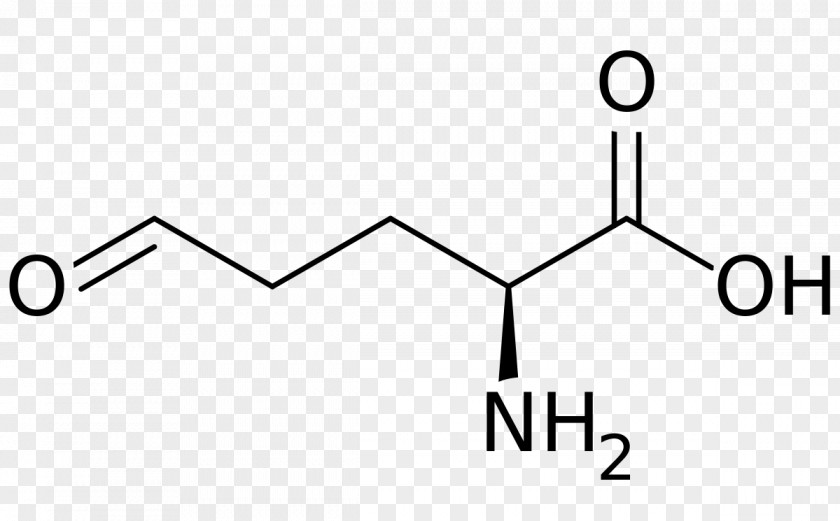 Glutamic Acid Glutamate-5-semialdehyde Amino Beta-Methylamino-L-alanine PNG