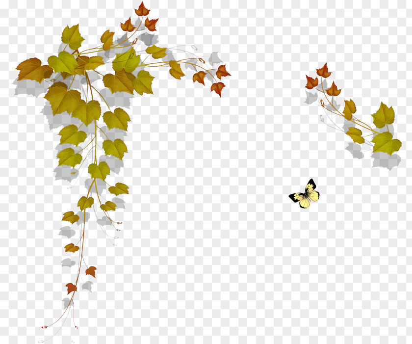 Leaf Maple Painting Paper PNG