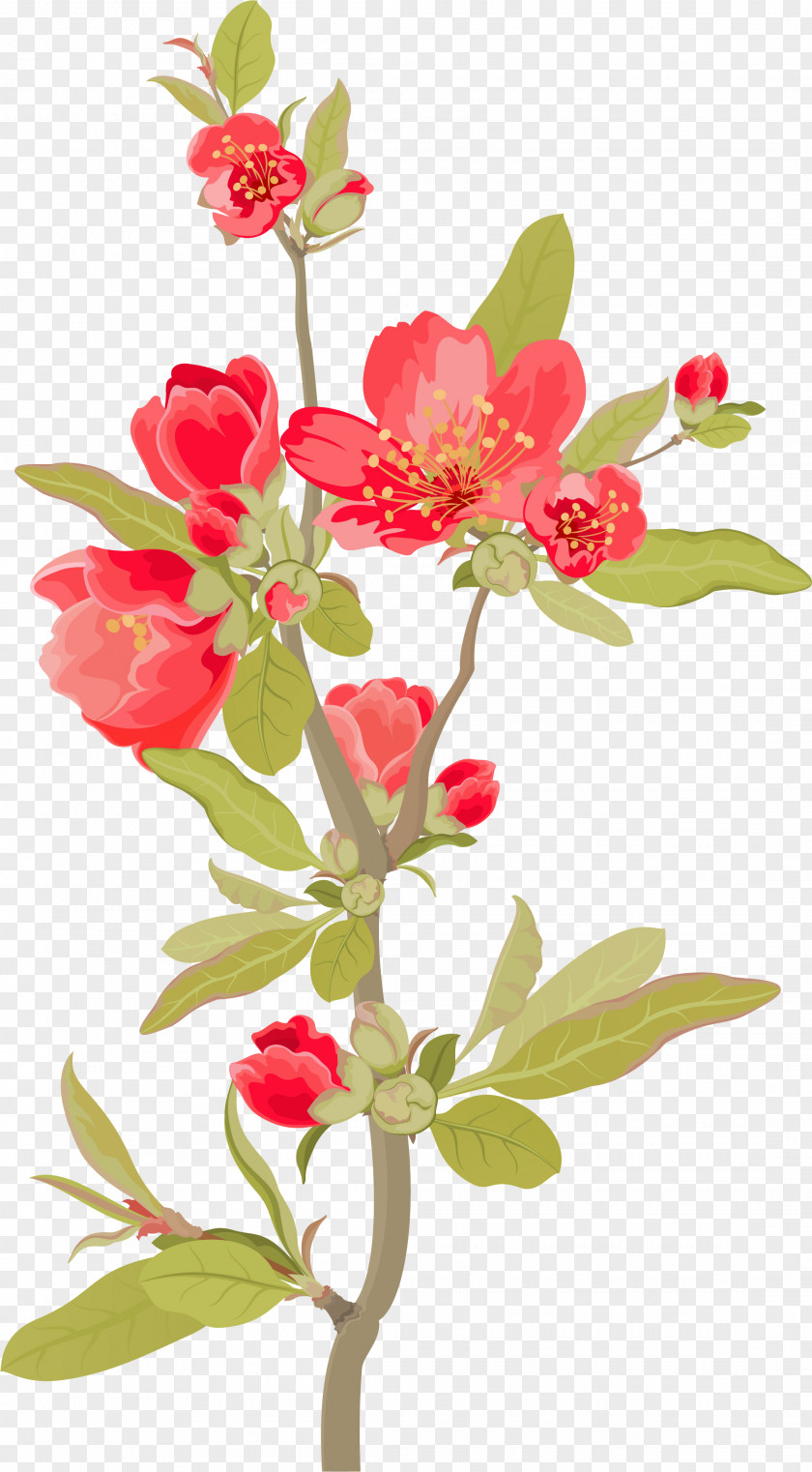 Magnolia Flower Branches Floral Design Film Poster PNG