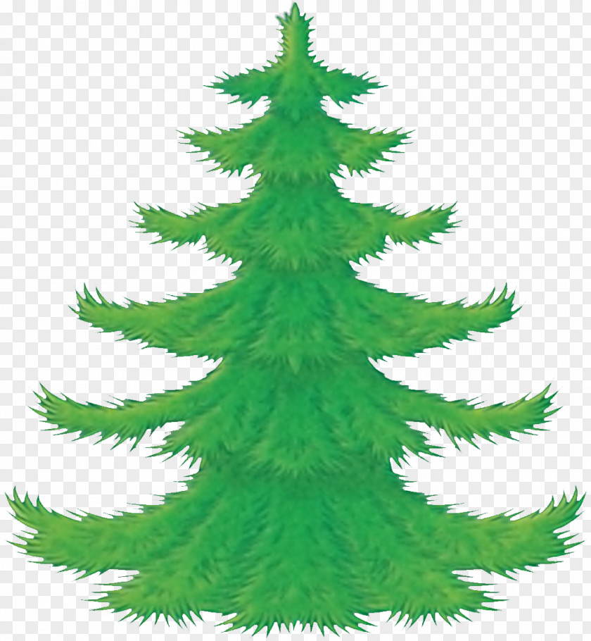 Pine Child Drawing New Year Tree Fairy Tale PNG