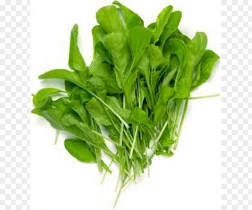 Plant Arugula Vegetable Vegetal Green PNG