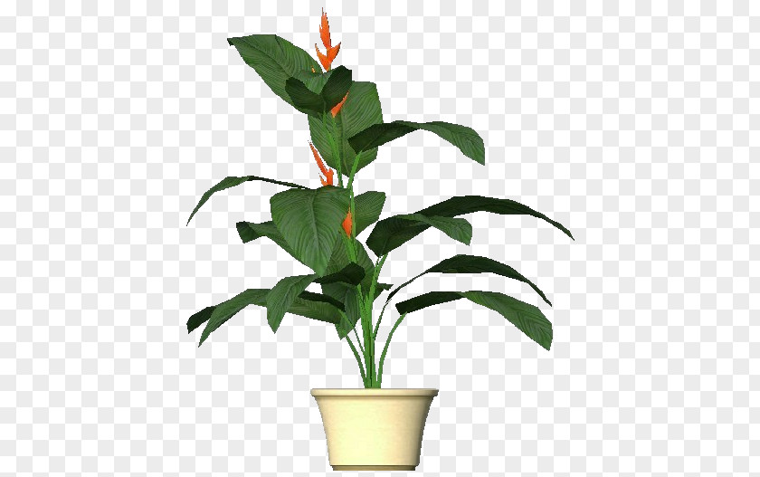 Plants Heliconia Subulata Lobster-claws 3-D Plant Computer Software PNG