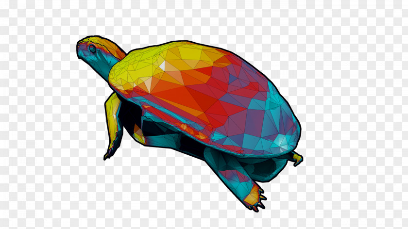 Turtle Sea Tortoise Graphics Product Design PNG