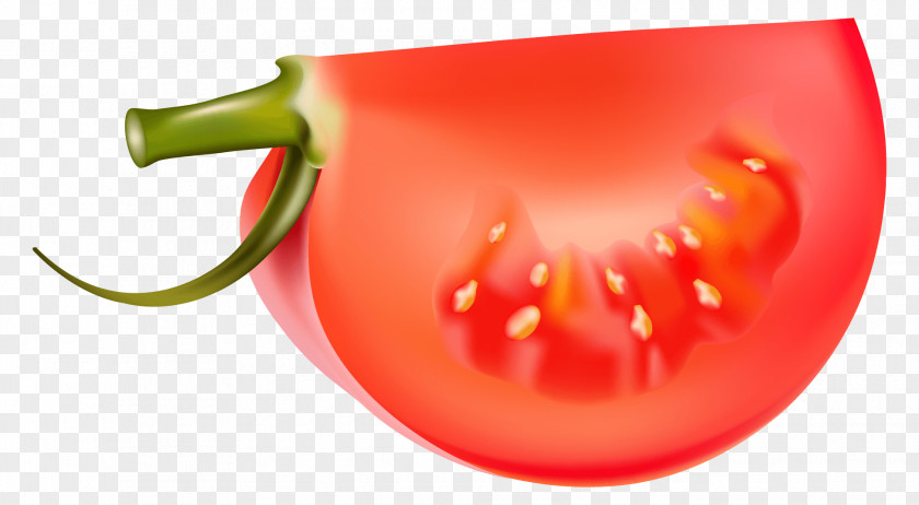 Vegetable Vector Graphics Tomato Illustration Clip Art PNG