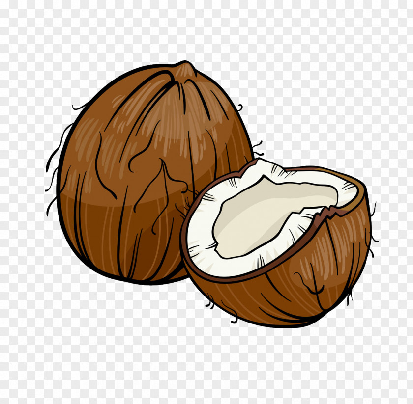 Coconut Cartoon Royalty-free Illustration PNG