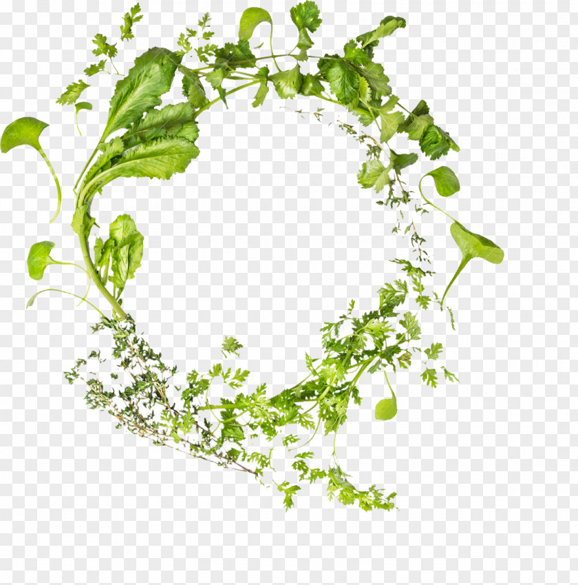 Green Garland PNG