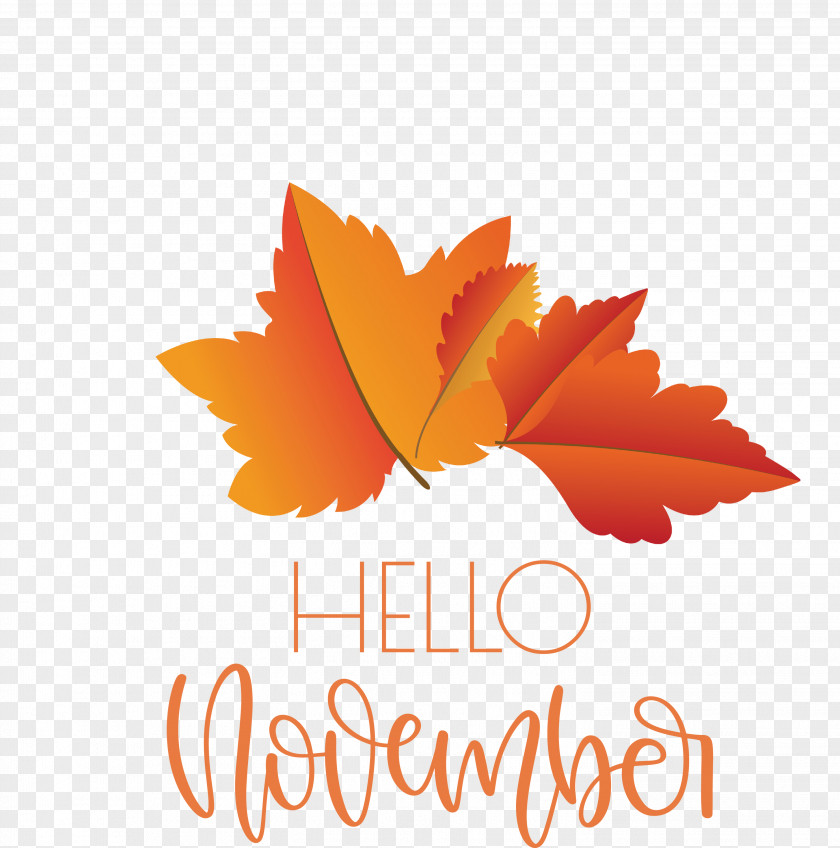 Hello November November PNG