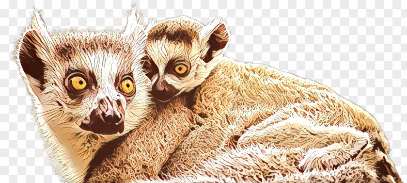 Lemur Slow Loris Mouse Pygmy PNG