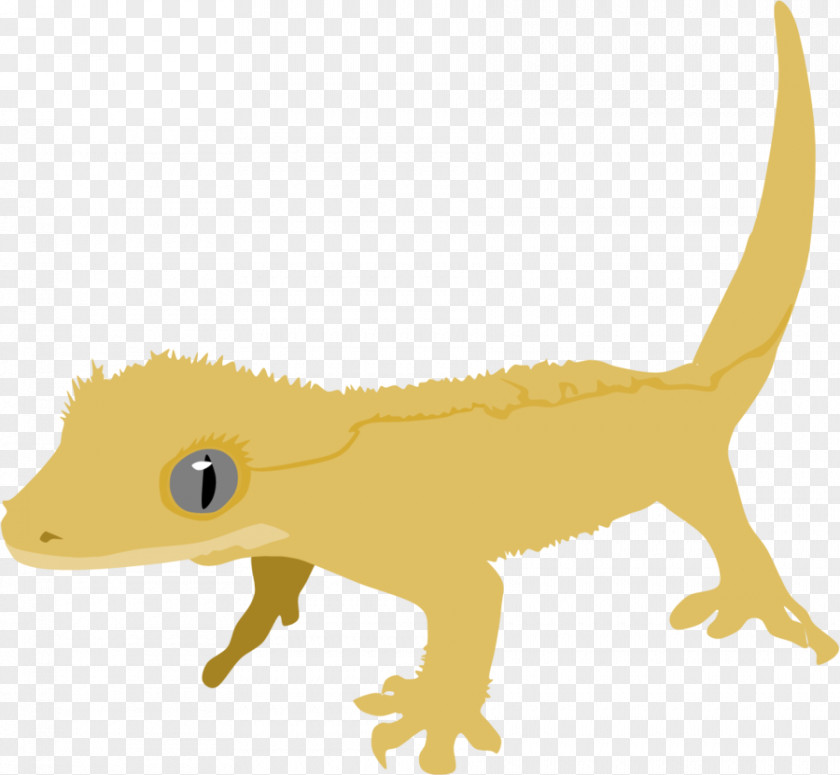 Lizard Reptile Crested Gecko Drawing PNG