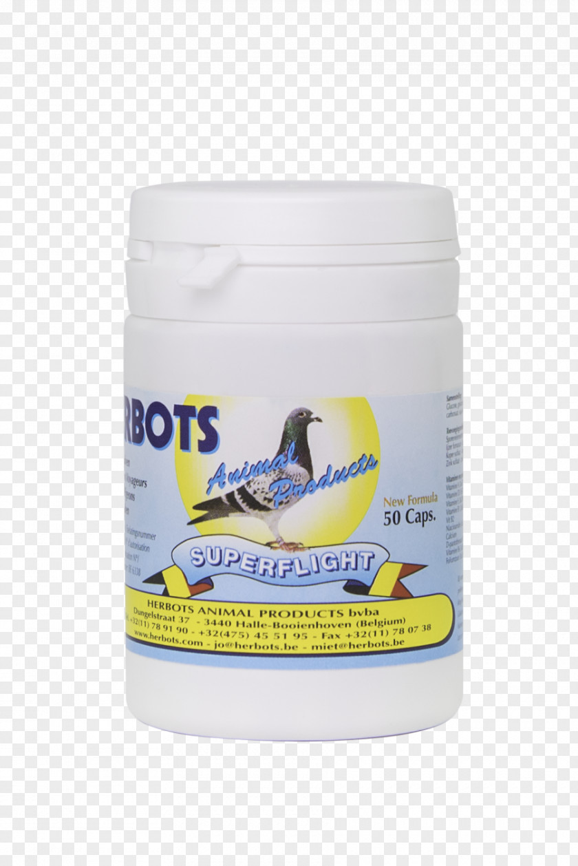 Pigeons 12 0 1 Columbidae Dietary Supplement Homing Pigeon By-product PNG