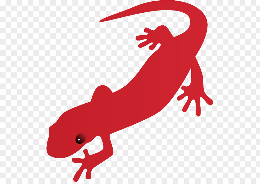 Reptile Tail Clip Art Gecko True Salamanders And Newts Lizard Newt PNG