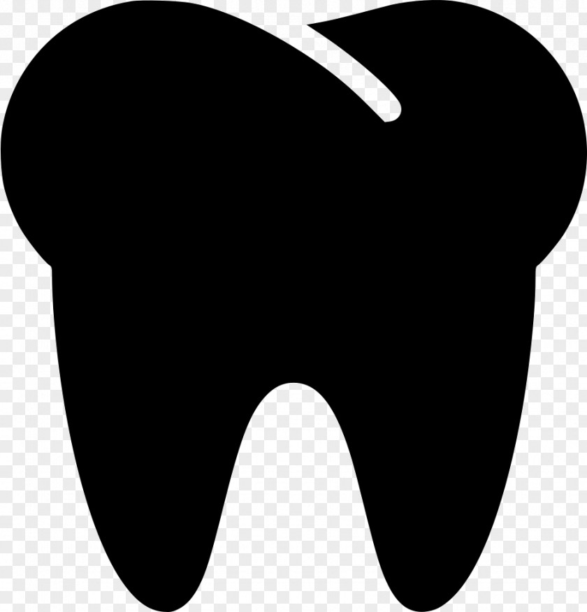 Tooth Icon Human Dentistry PNG
