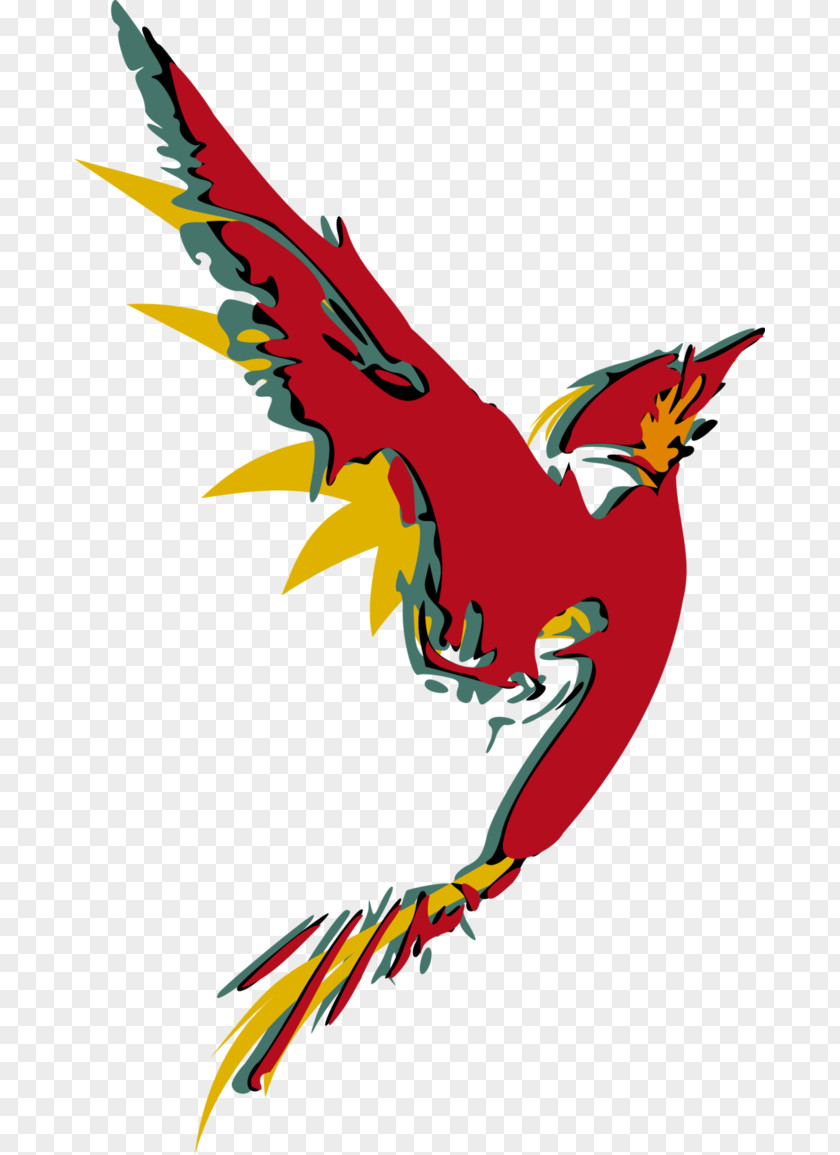 Abstract Bird Macaw Art Clip PNG