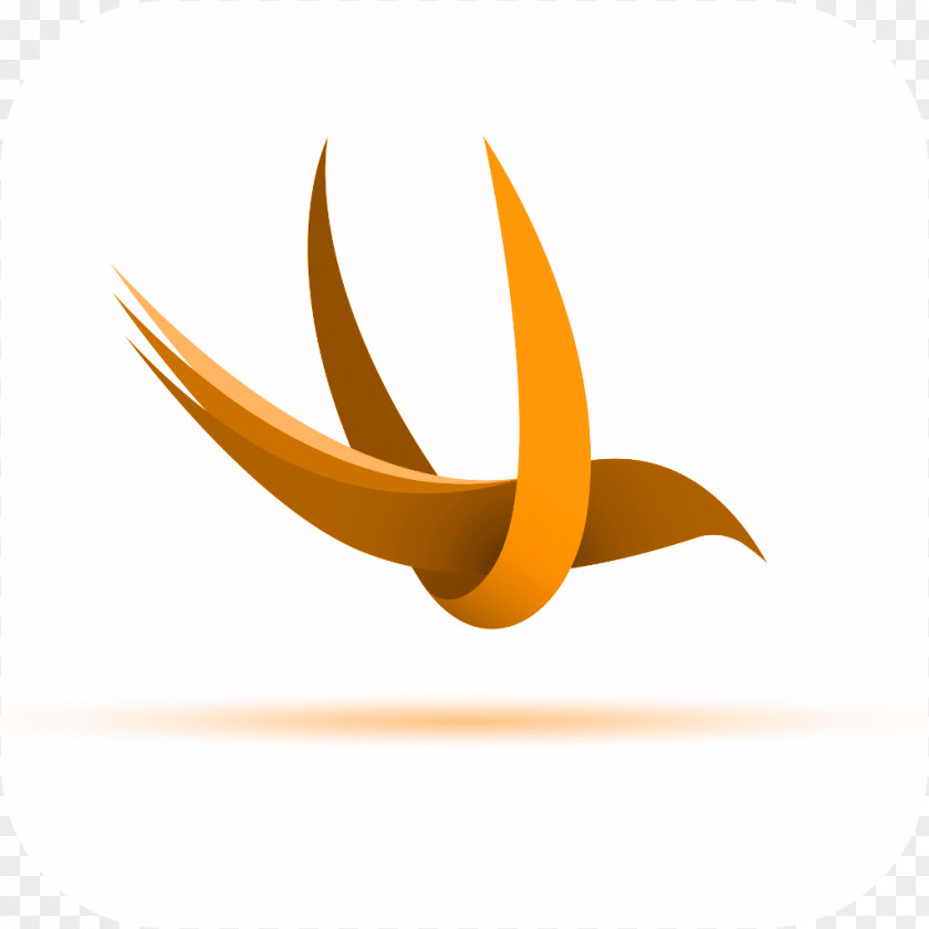 Bird Logo Desktop Wallpaper Beak PNG