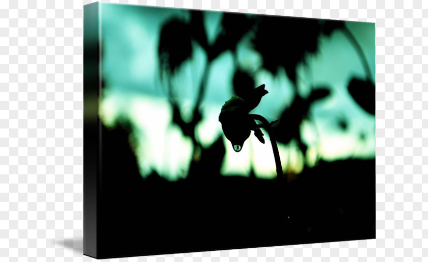 Bokhe Desktop Wallpaper Picture Frames Stock Photography PNG