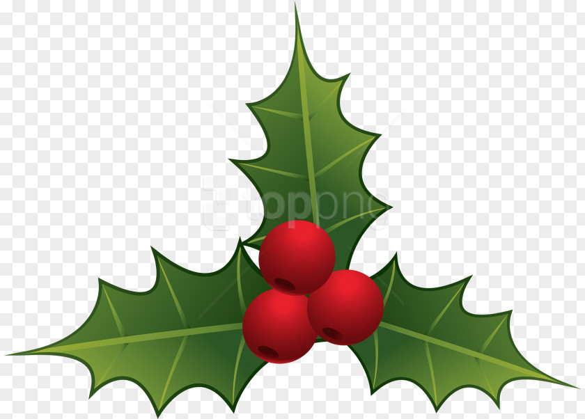 Chinese Hawthorn Branch Drawing Christmas Tree PNG