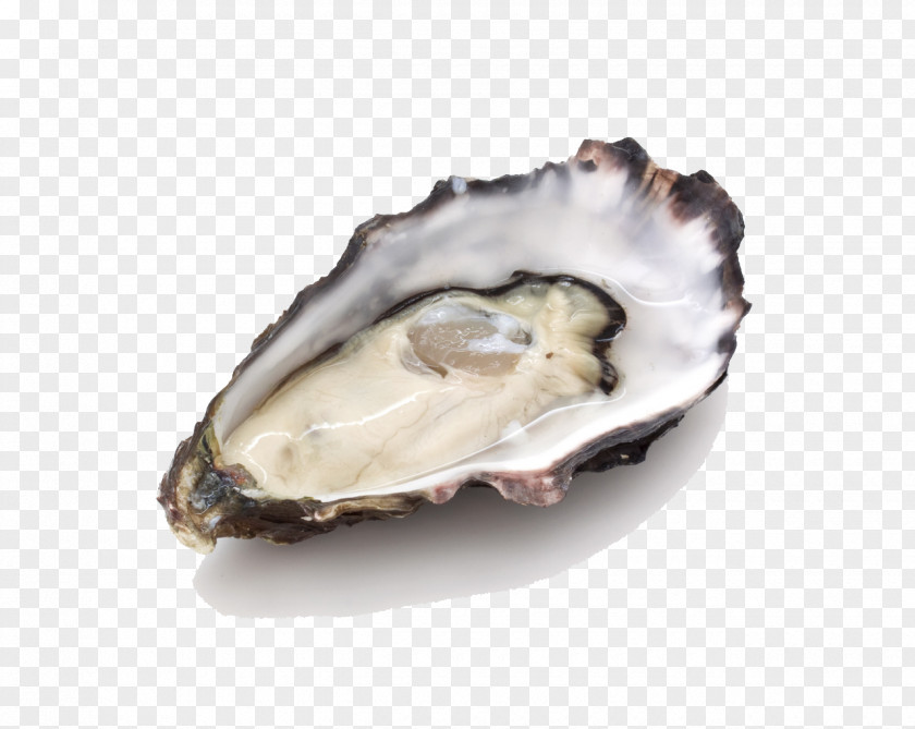 Oyster Dietary Supplement Zinc Deficiency Food PNG