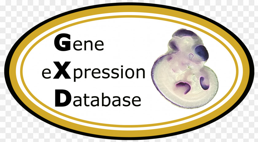 Alimentary Gene Expression Mouse Genome Informatics Genetics Reporter PNG
