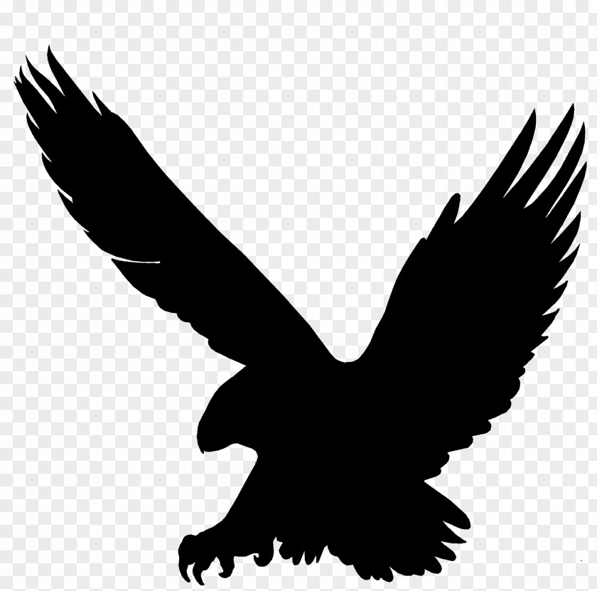 Bald Eagle Beak Fauna Font PNG