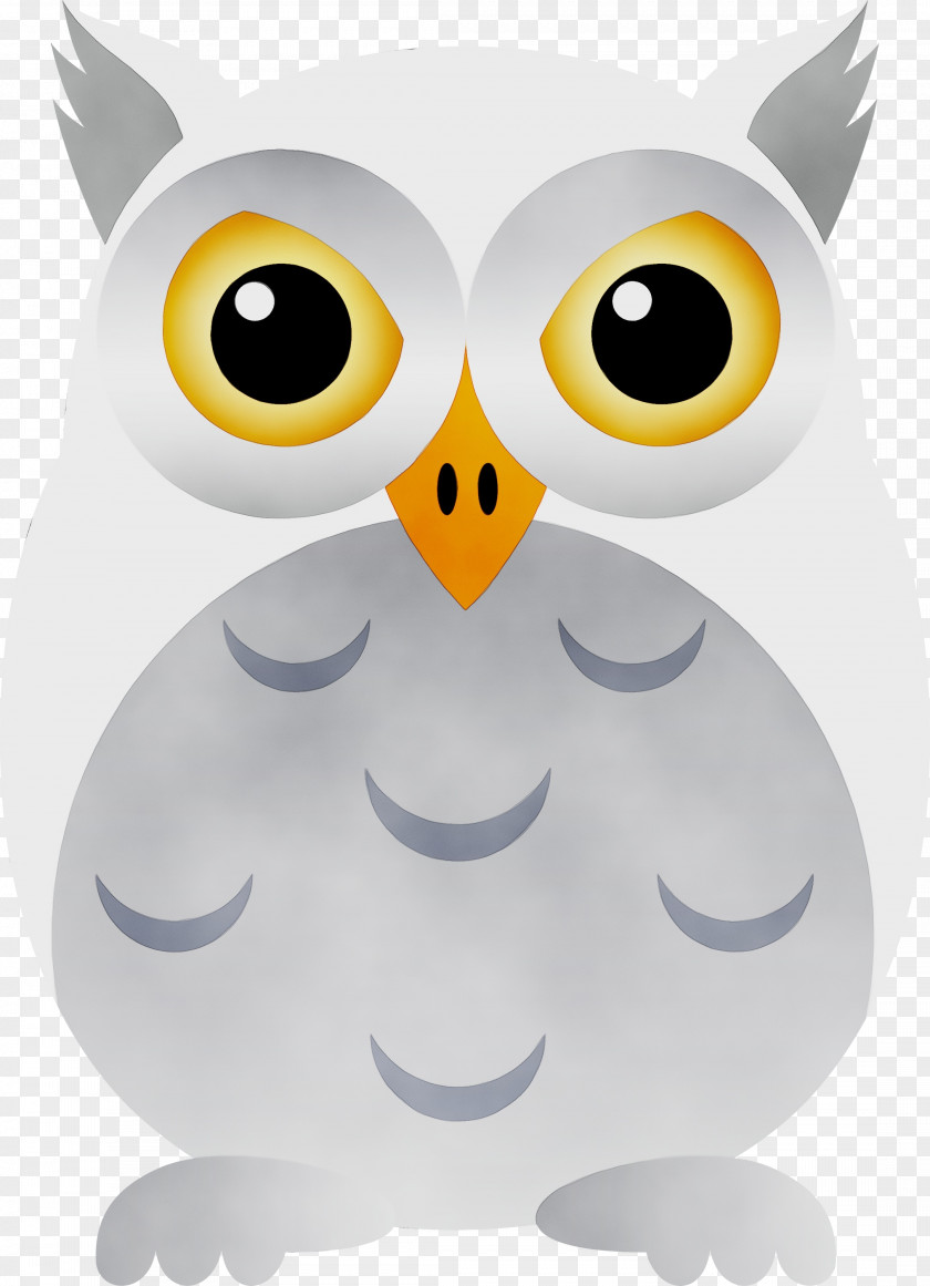 Beak Owl M Snout PNG